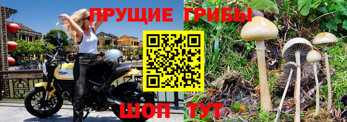 Псилоцибиновые грибы MAGIC MUSHROOMS  Галлюциногенные грибы MAGIC MUSHROOMS  Большой Камень  Вход с VPN 