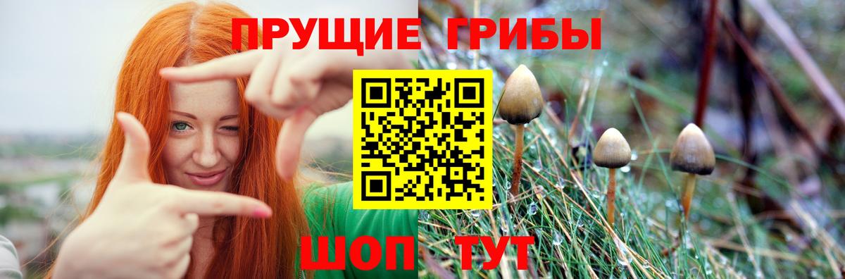 Галлюциногенные грибы MAGIC MUSHROOMS Большой Камень